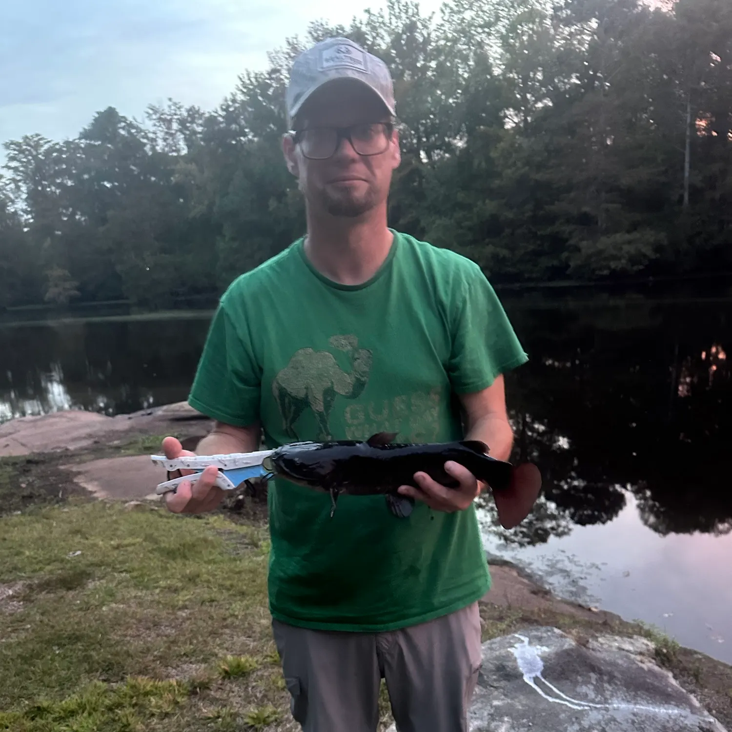 Black bullhead caught on Fishbrain