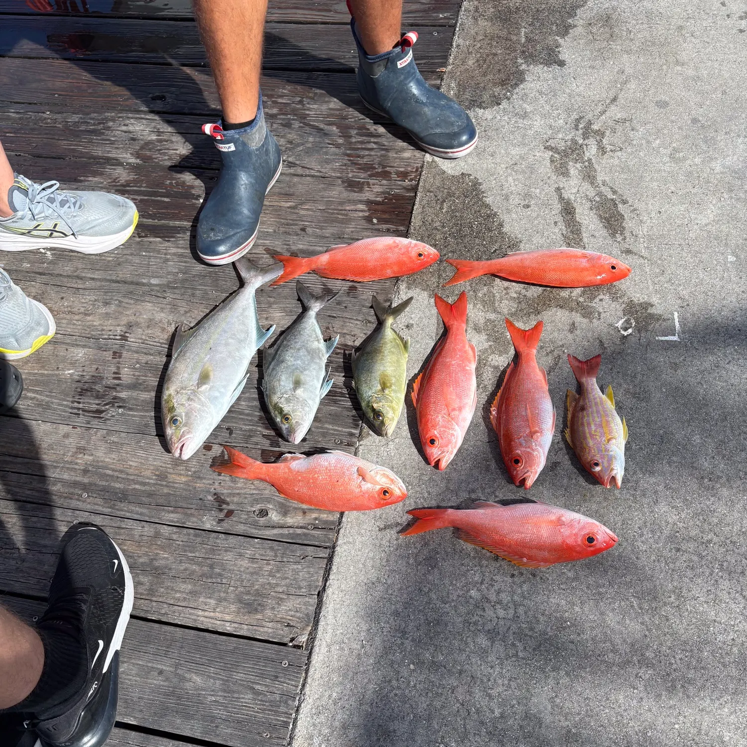 recently logged catches