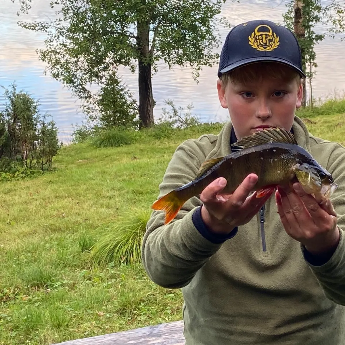 European perch caught on Fishbrain