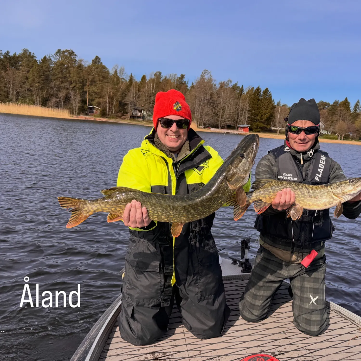 Northern pike caught on Fishbrain