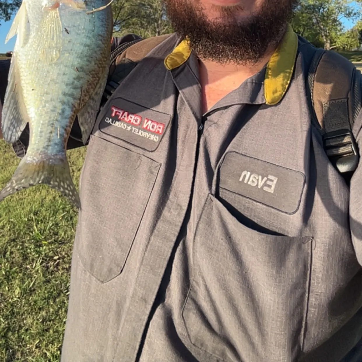White crappie caught on Fishbrain