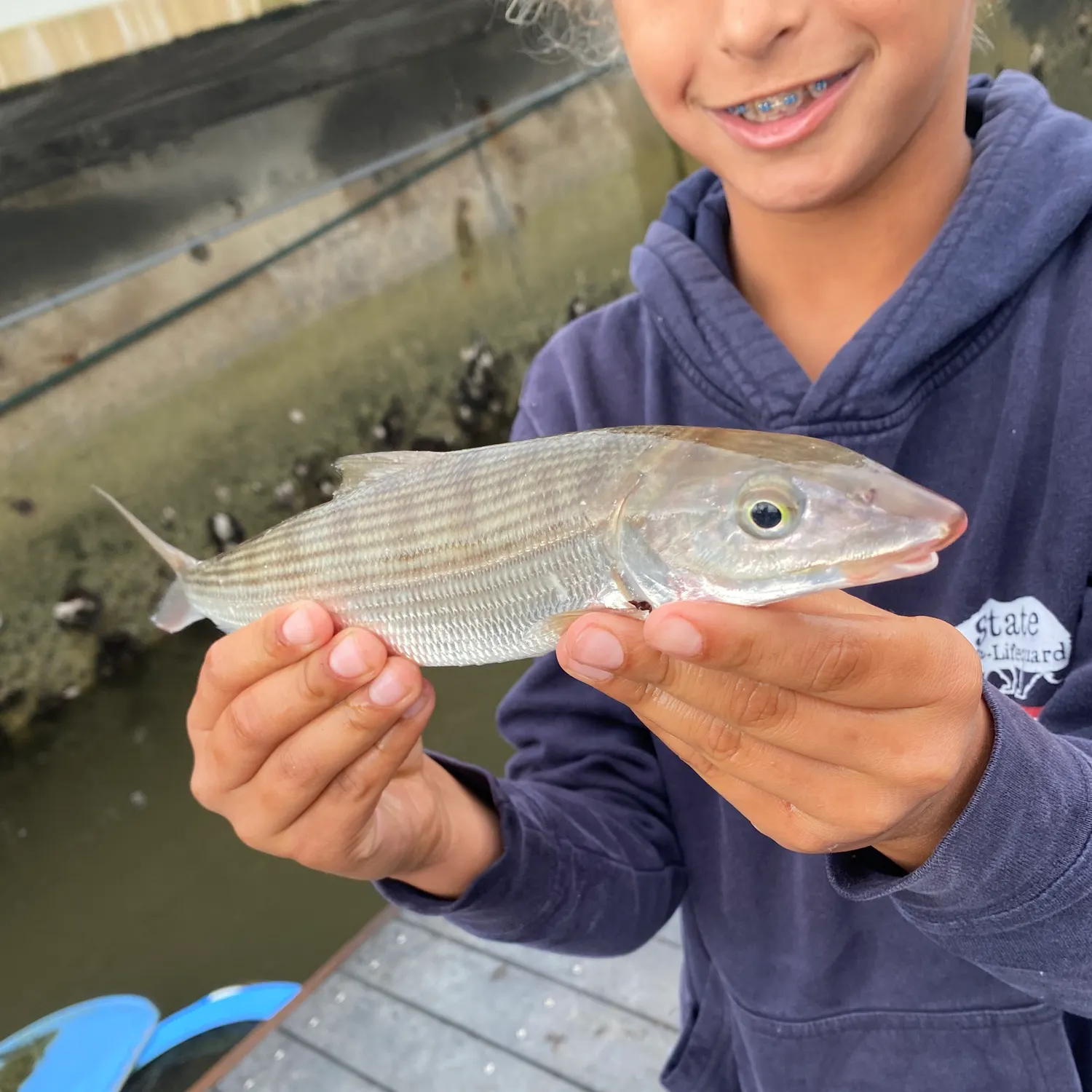 The most recent West Atlantic bonefish catches on Fishbrain