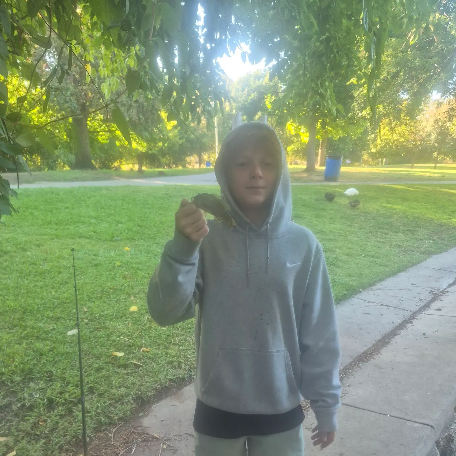 Fish caught on Fishbrain