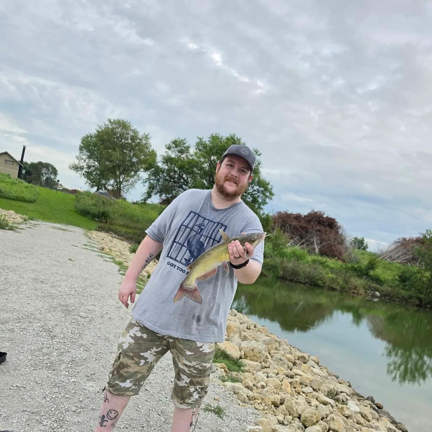 Channel catfish caught on Fishbrain