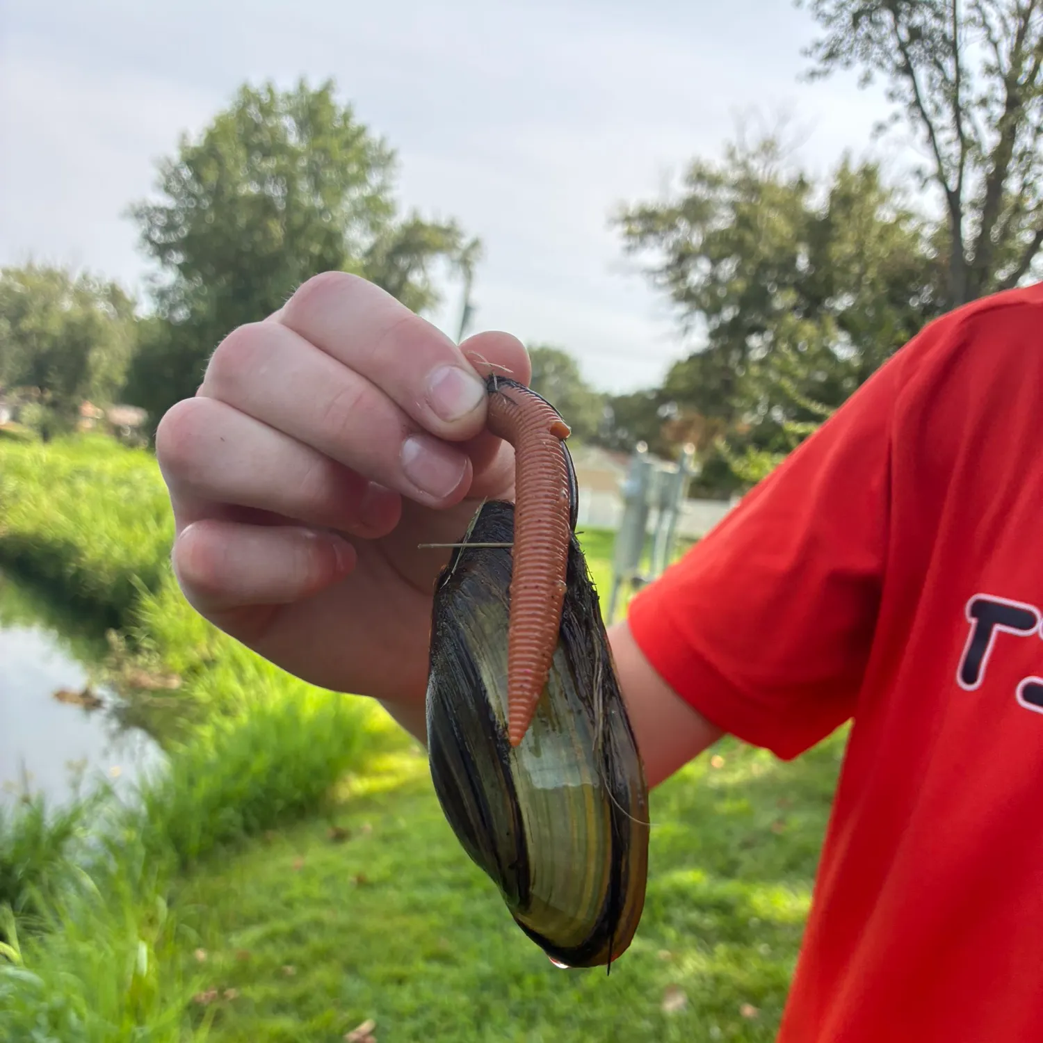 The most recent Asian clam catches on Fishbrain