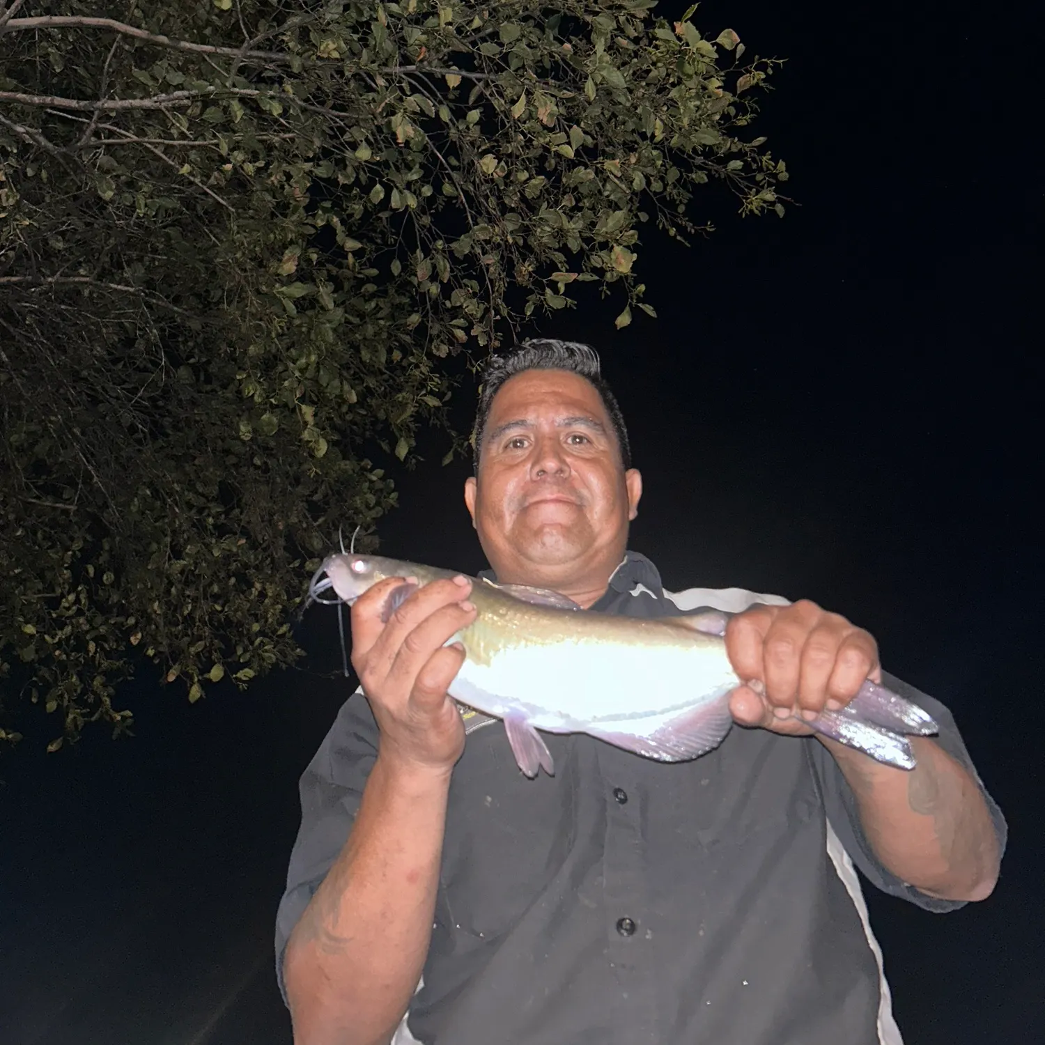 Channel catfish caught on Fishbrain
