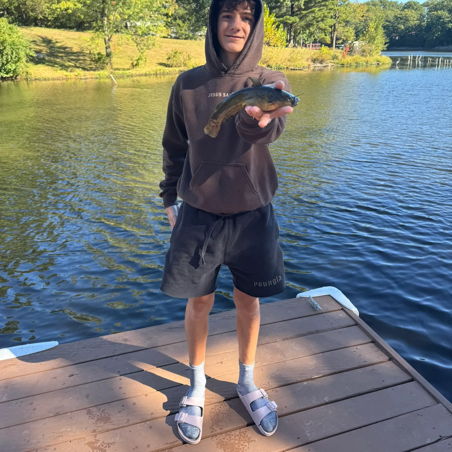 Yellow bullhead caught on Fishbrain
