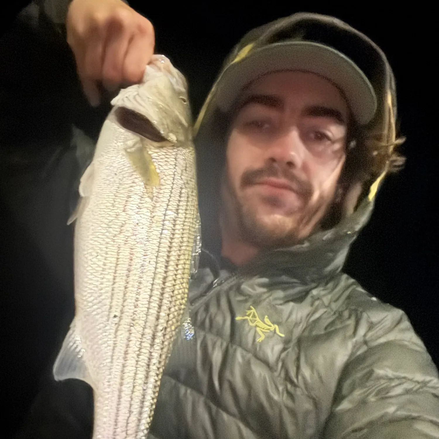 Striped bass caught on Fishbrain