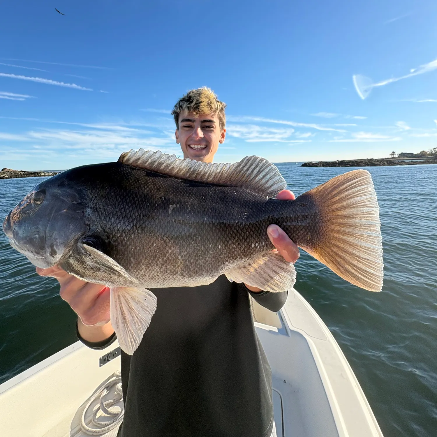 Tautog caught on Fishbrain
