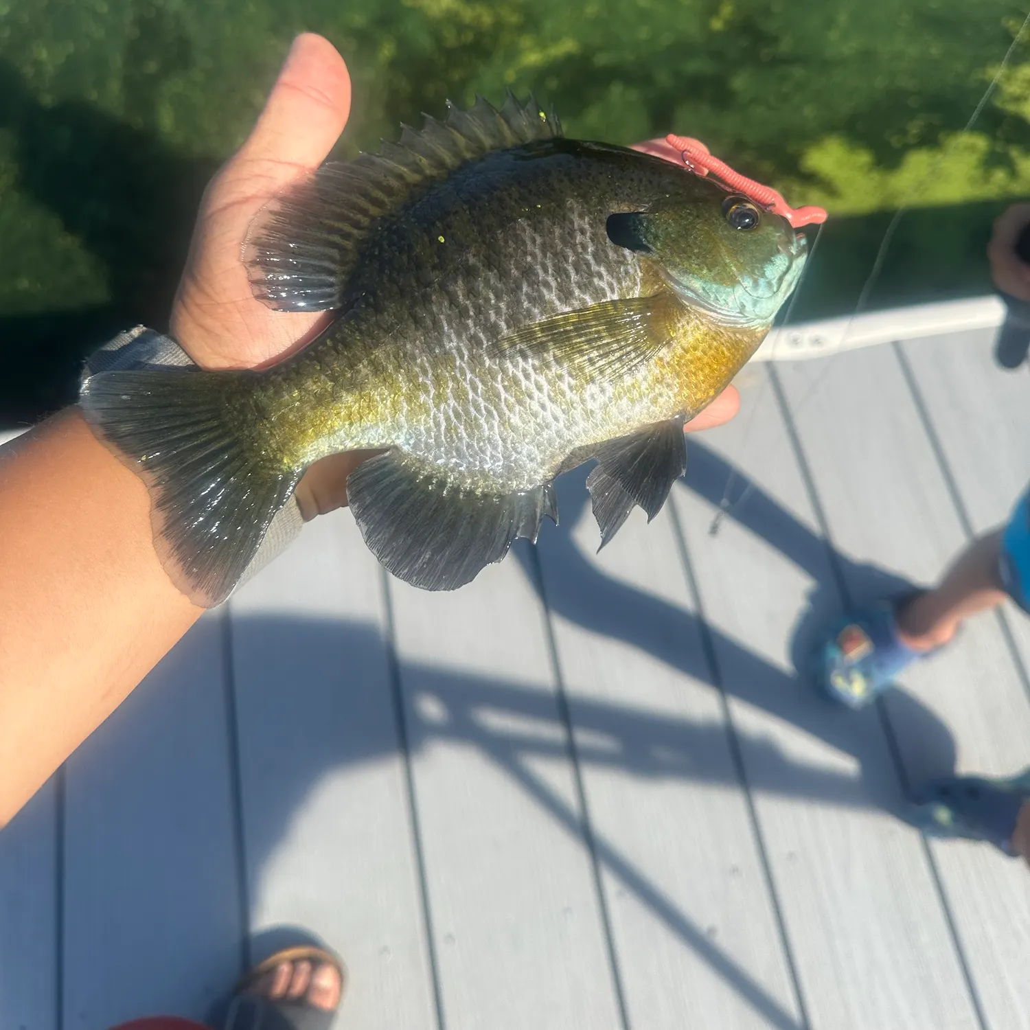 catch