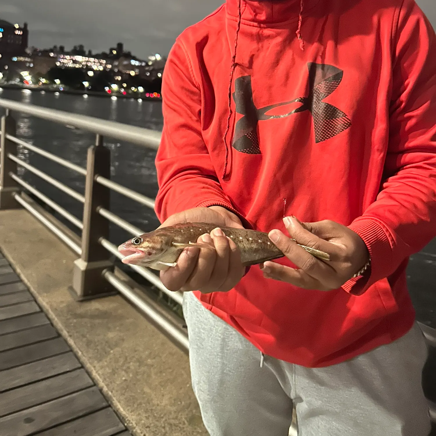 The most recent Red hake catches on Fishbrain