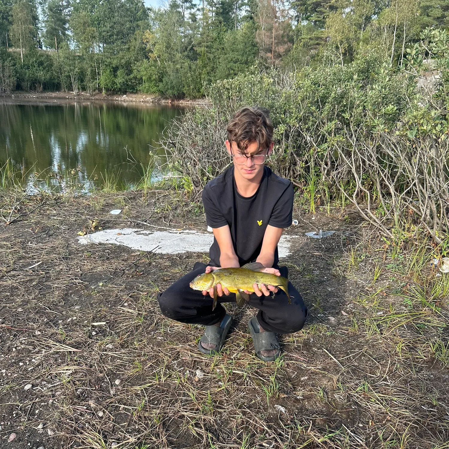 The most recent Tench catches on Fishbrain