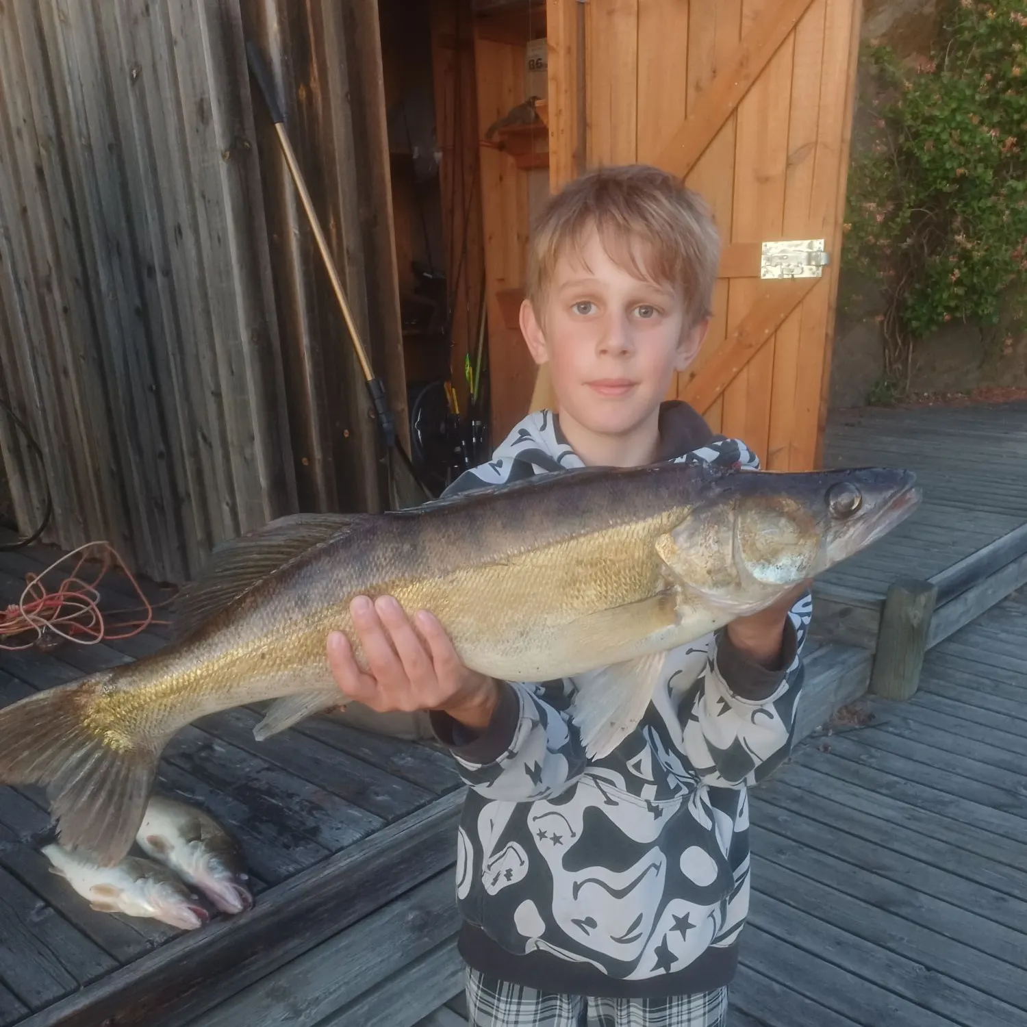 Zander caught on Fishbrain