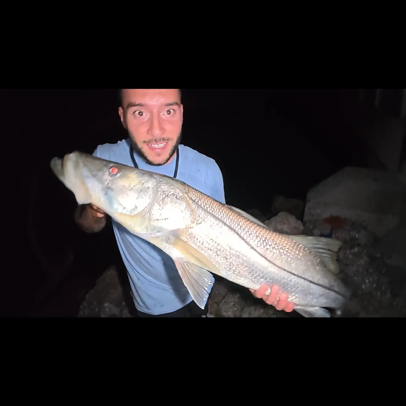 Common snook caught on Fishbrain