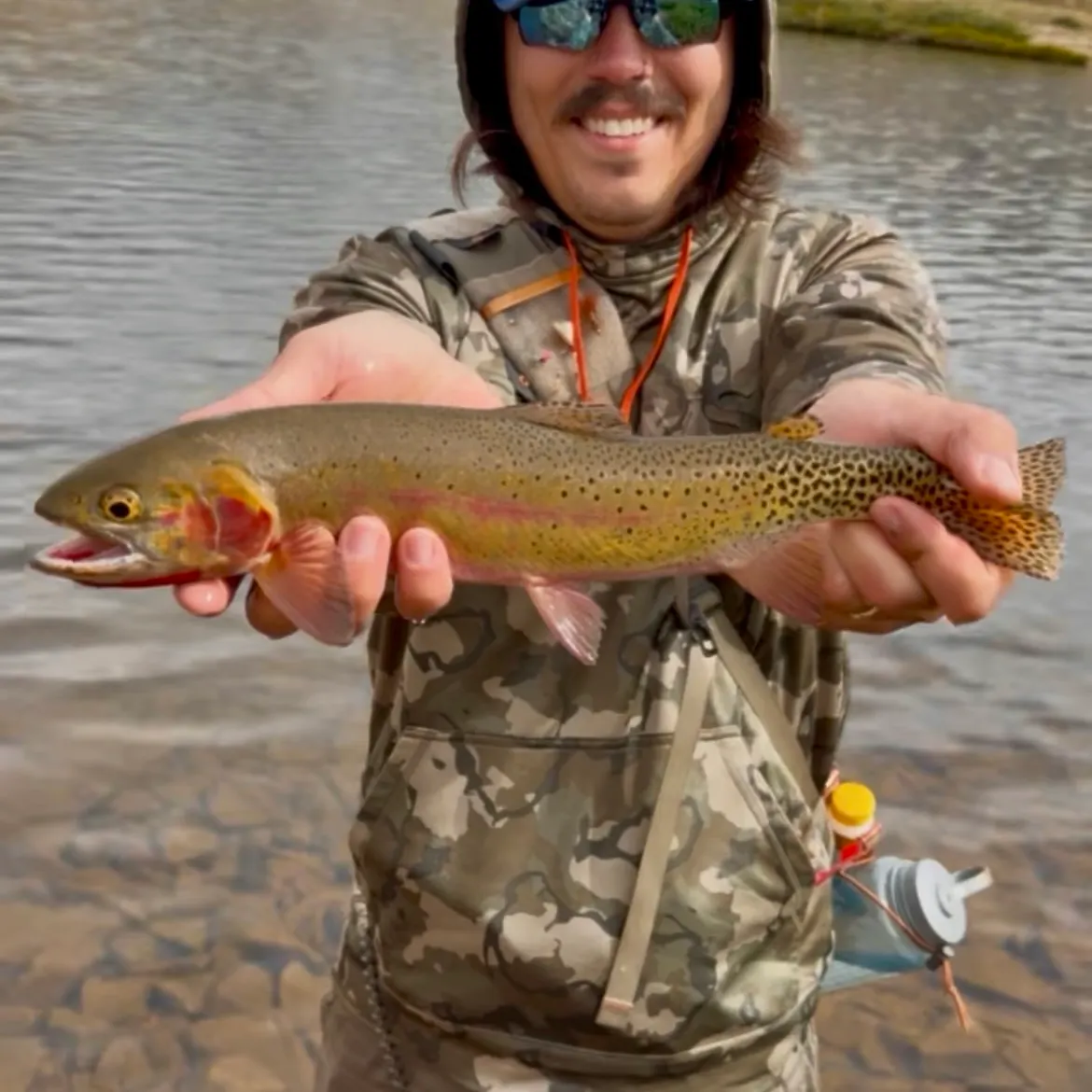 Cutthroat trout caught on Fishbrain