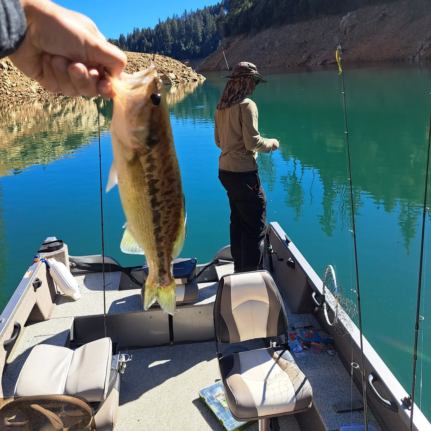 Spotted bass caught on Fishbrain