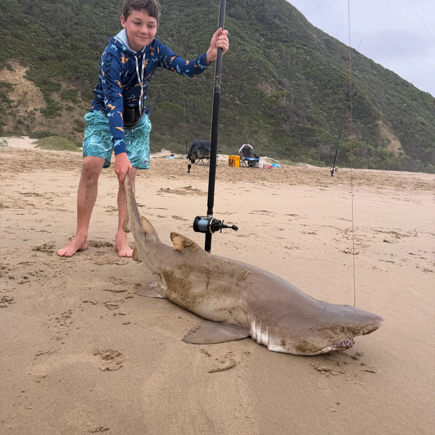 The most recent Sand tiger shark catches on Fishbrain