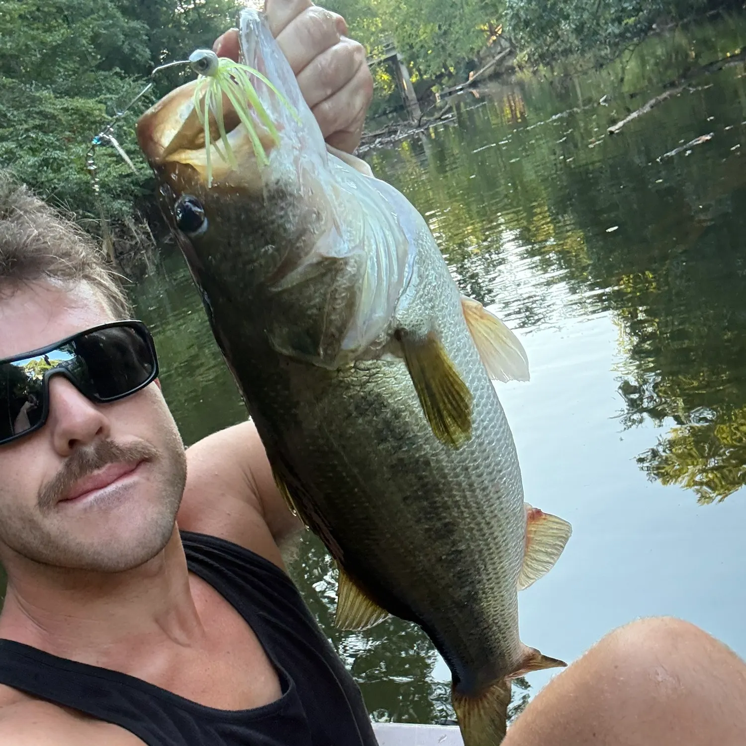 Largemouth bass caught on Fishbrain