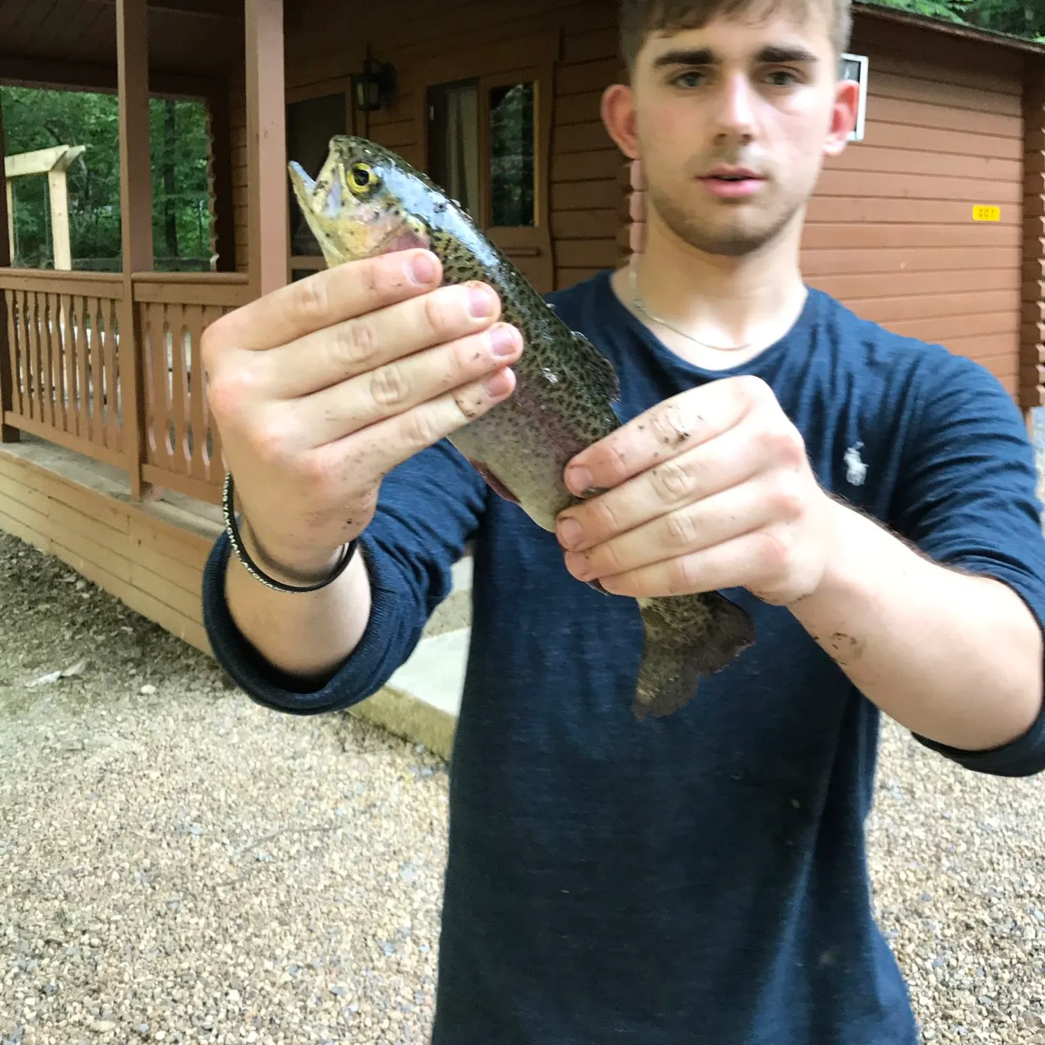 Rainbow trout caught on Fishbrain
