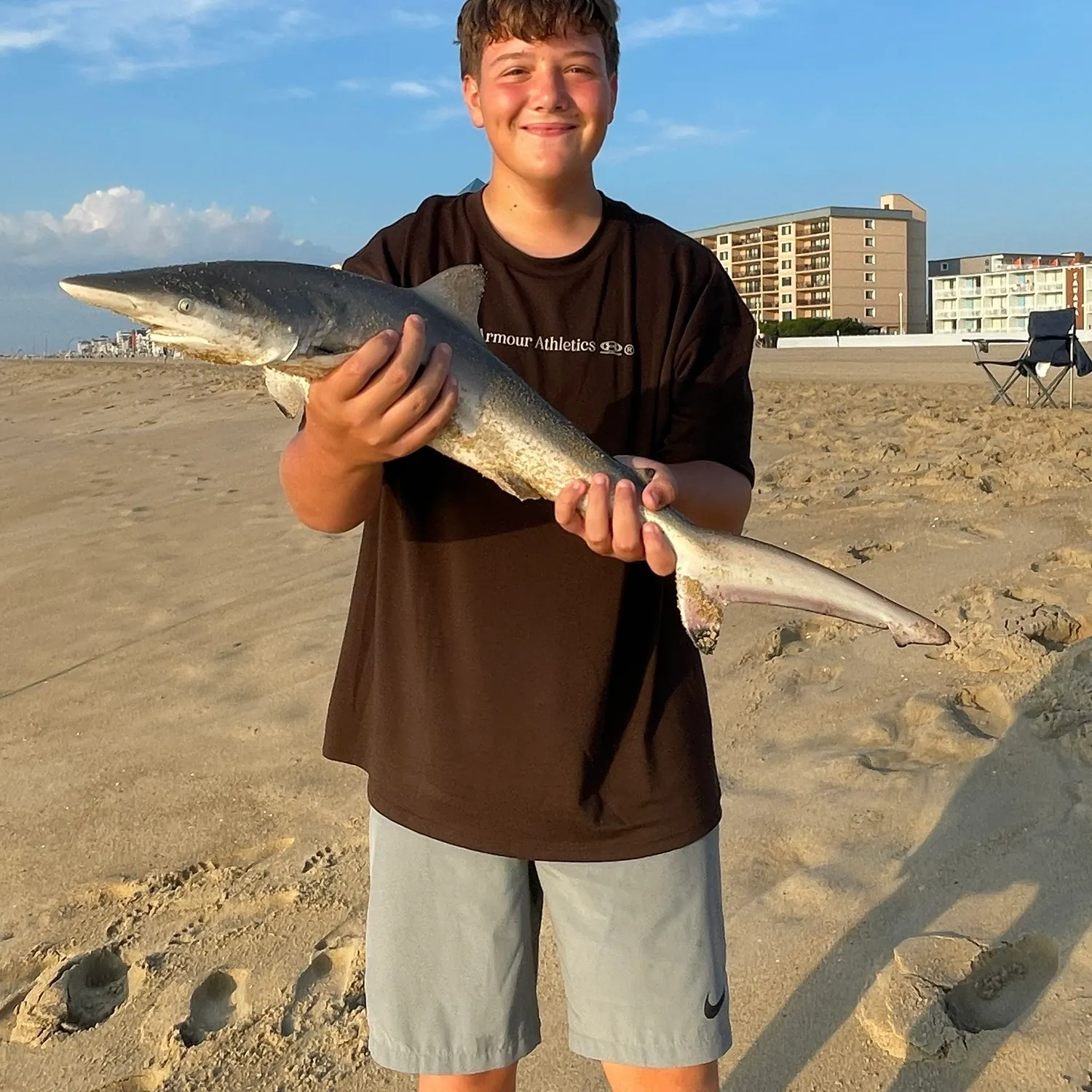 Spinner shark caught on Fishbrain