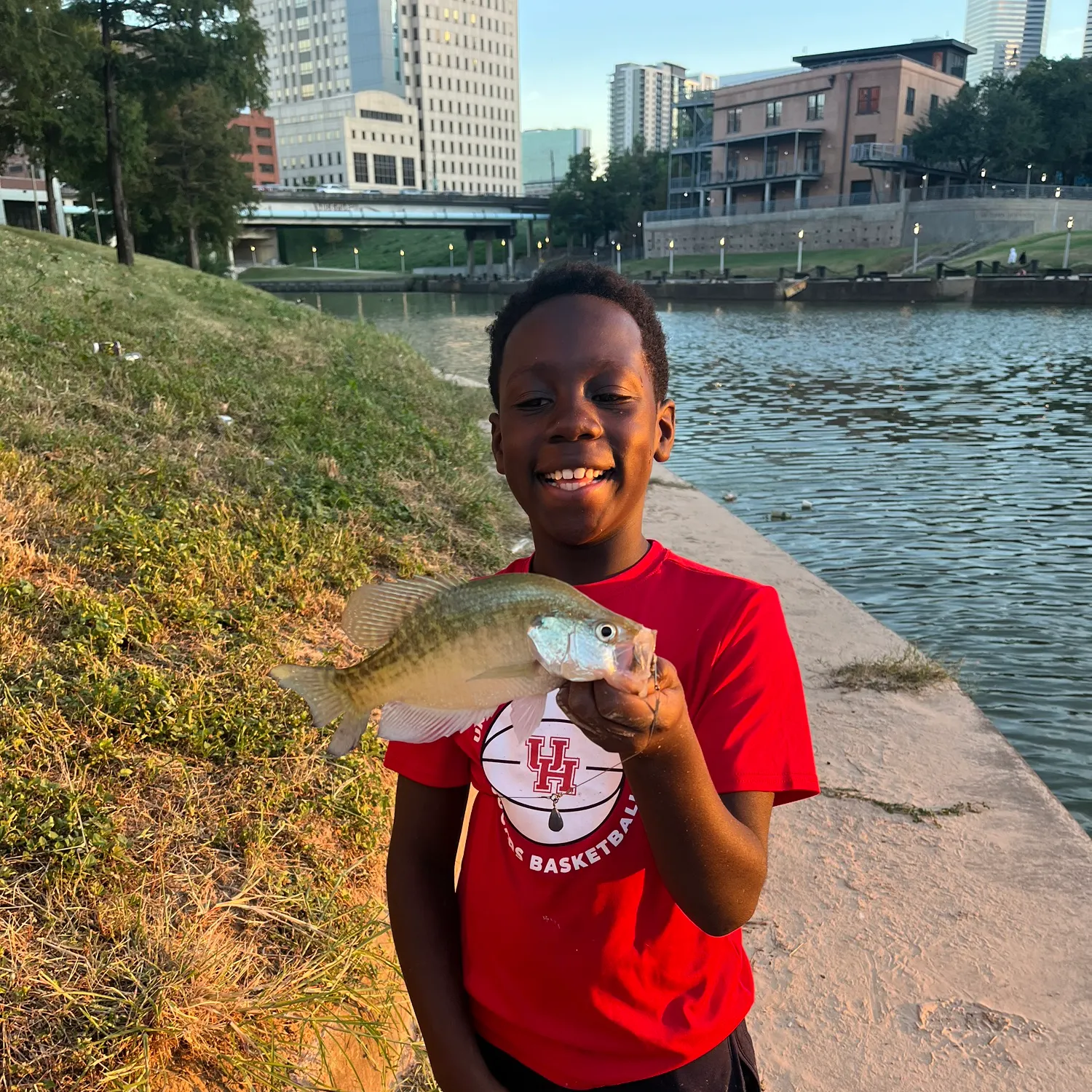 White crappie caught on Fishbrain