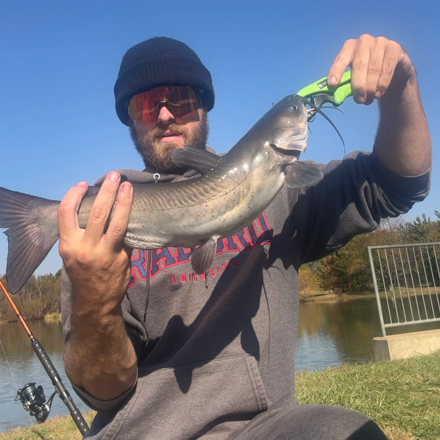 Channel catfish caught on Fishbrain