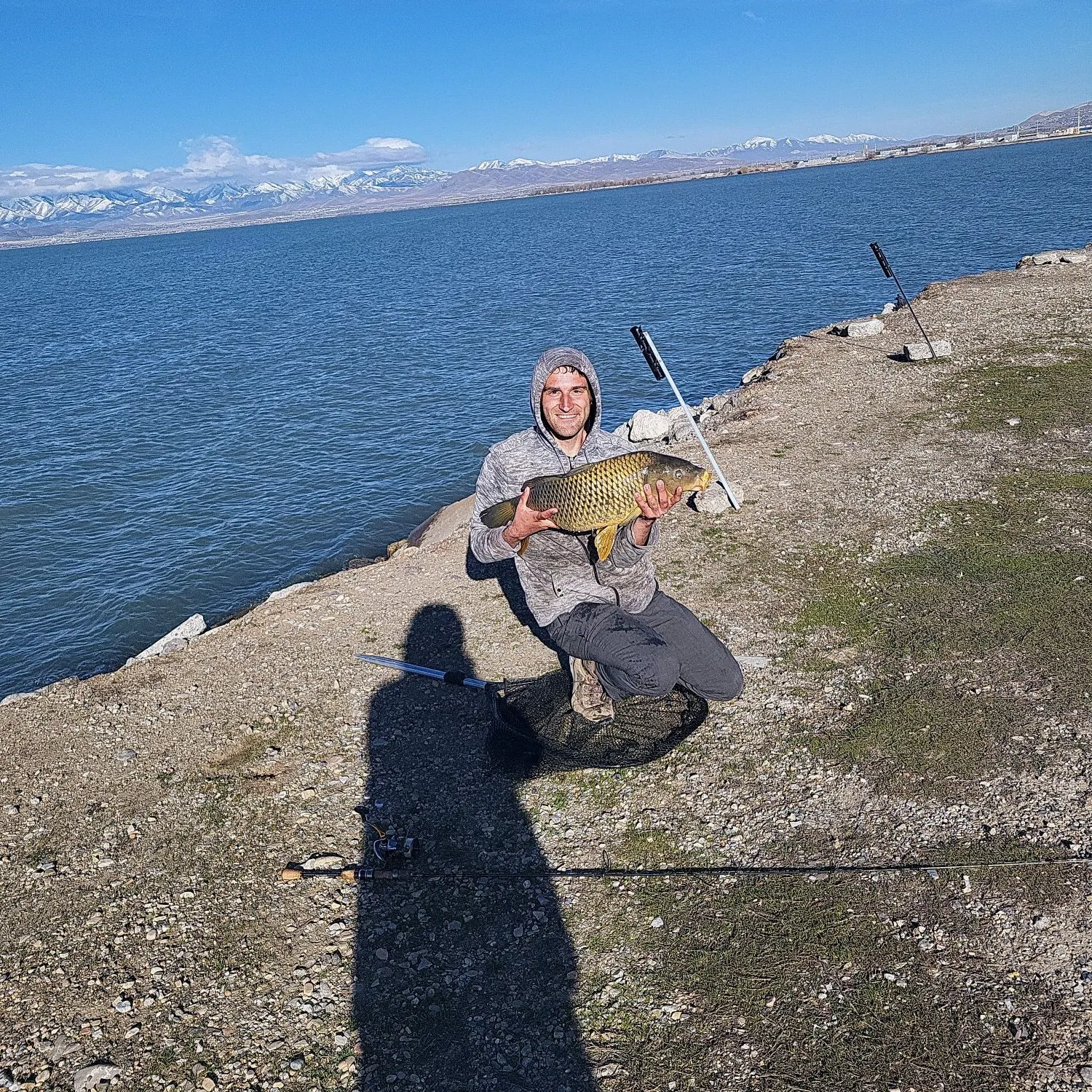 The most recent Common carp catches on Fishbrain