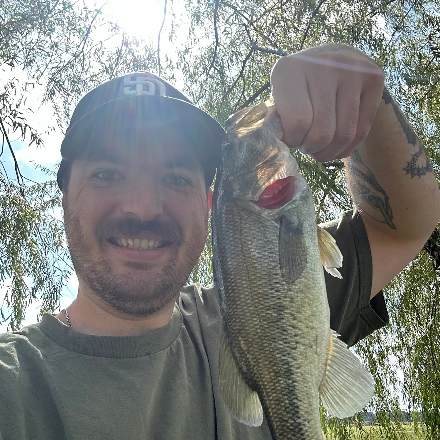 Largemouth bass caught on Fishbrain