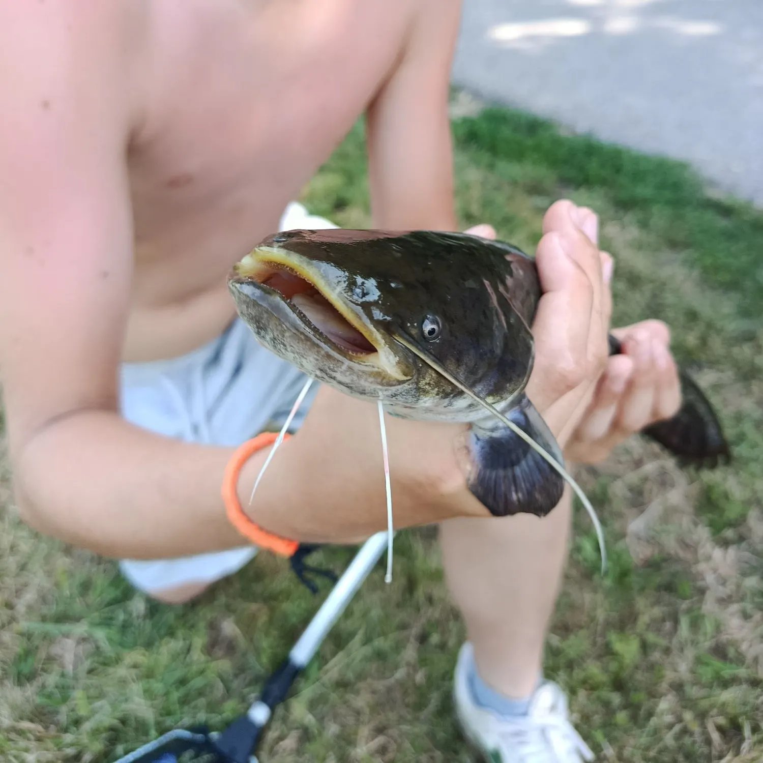 catch