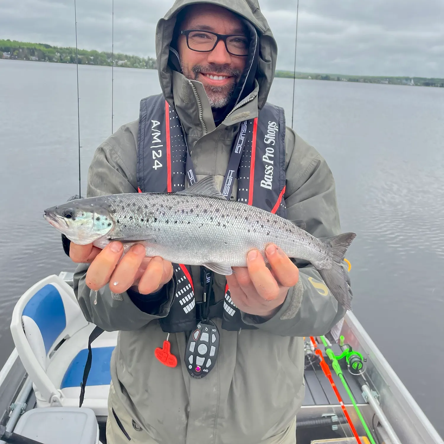 Landlocked atlantic salmon caught on Fishbrain