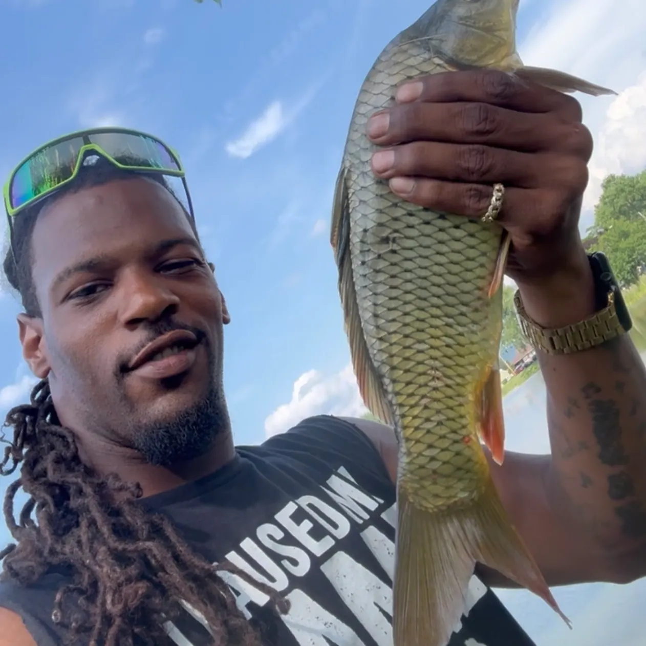 recently logged catches