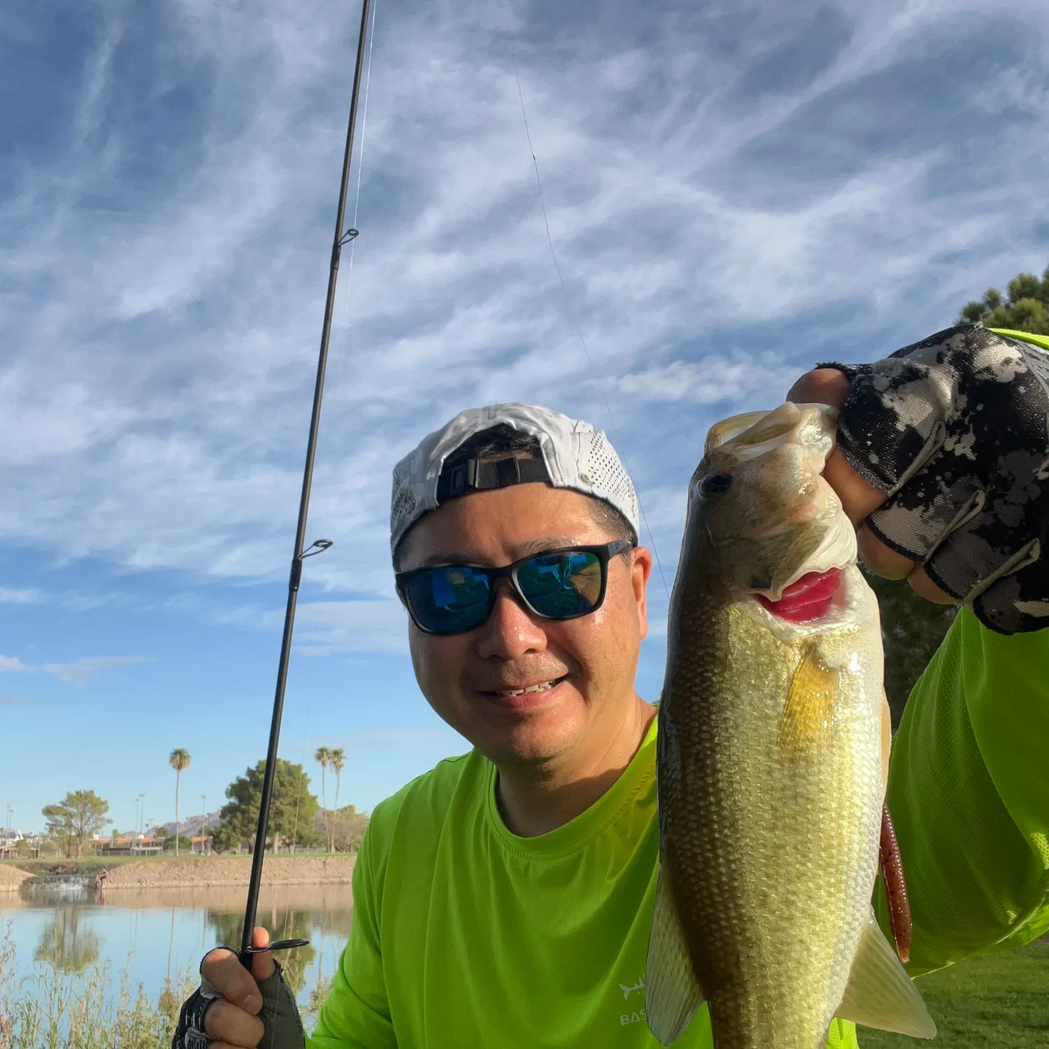 Largemouth bass caught on Fishbrain