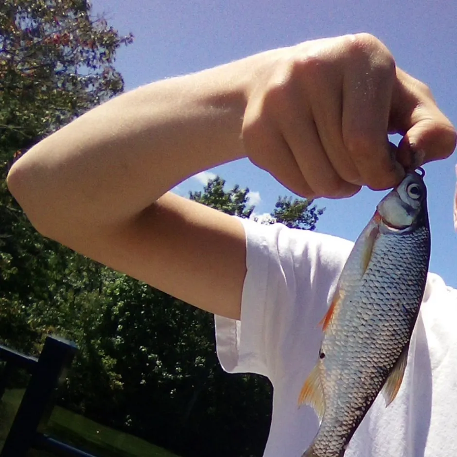 The most recent Cactus roach catches on Fishbrain