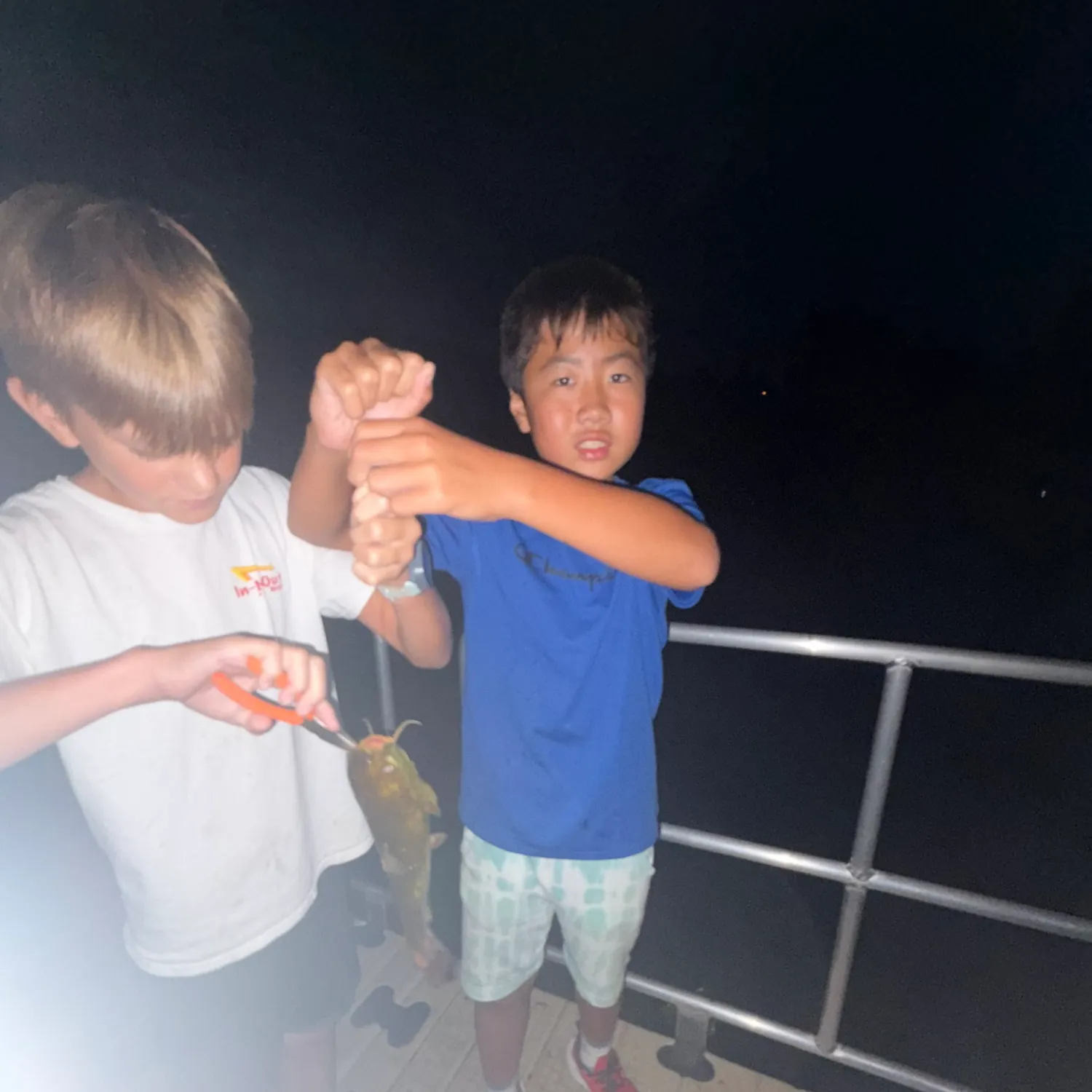 Yellow bullhead caught on Fishbrain