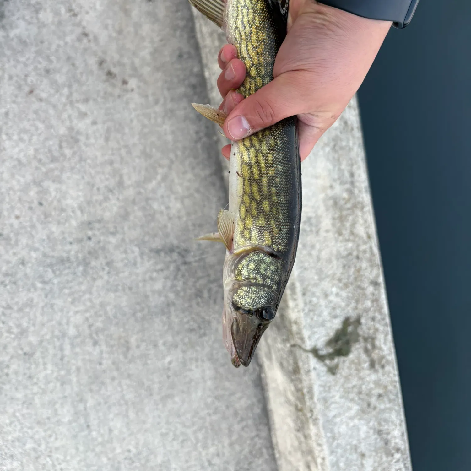 catch