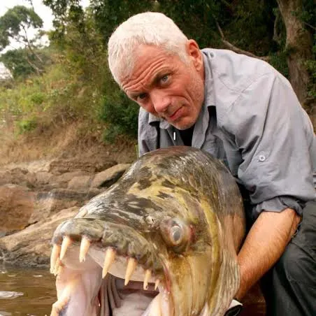 The most recent Goliath tigerfish catches on Fishbrain
