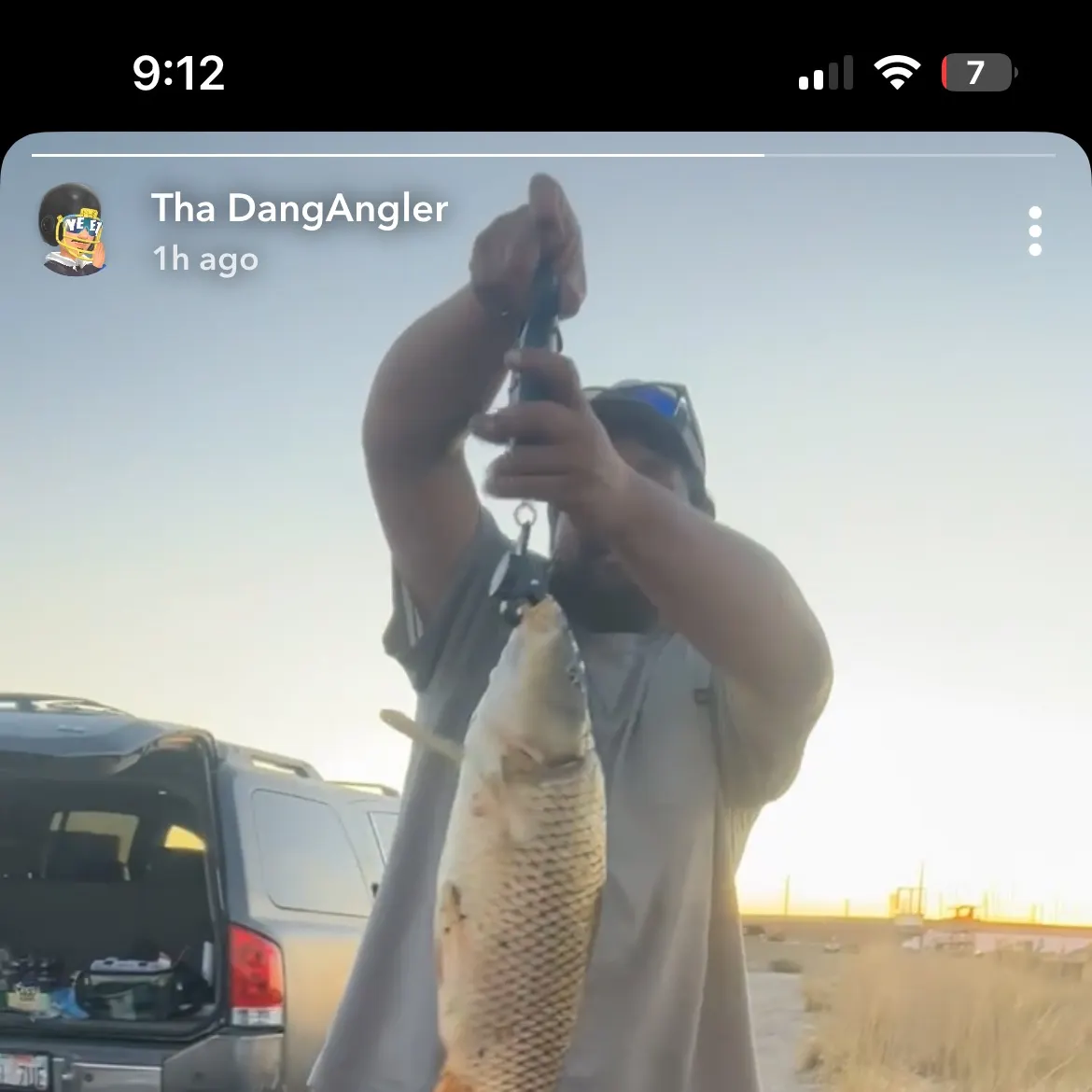 Common carp caught on Fishbrain