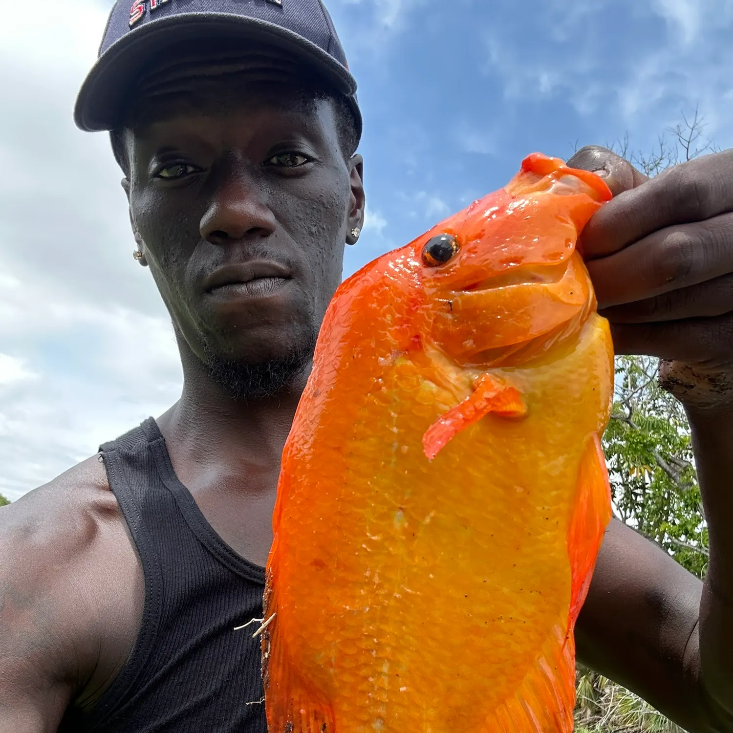 most liked catch image