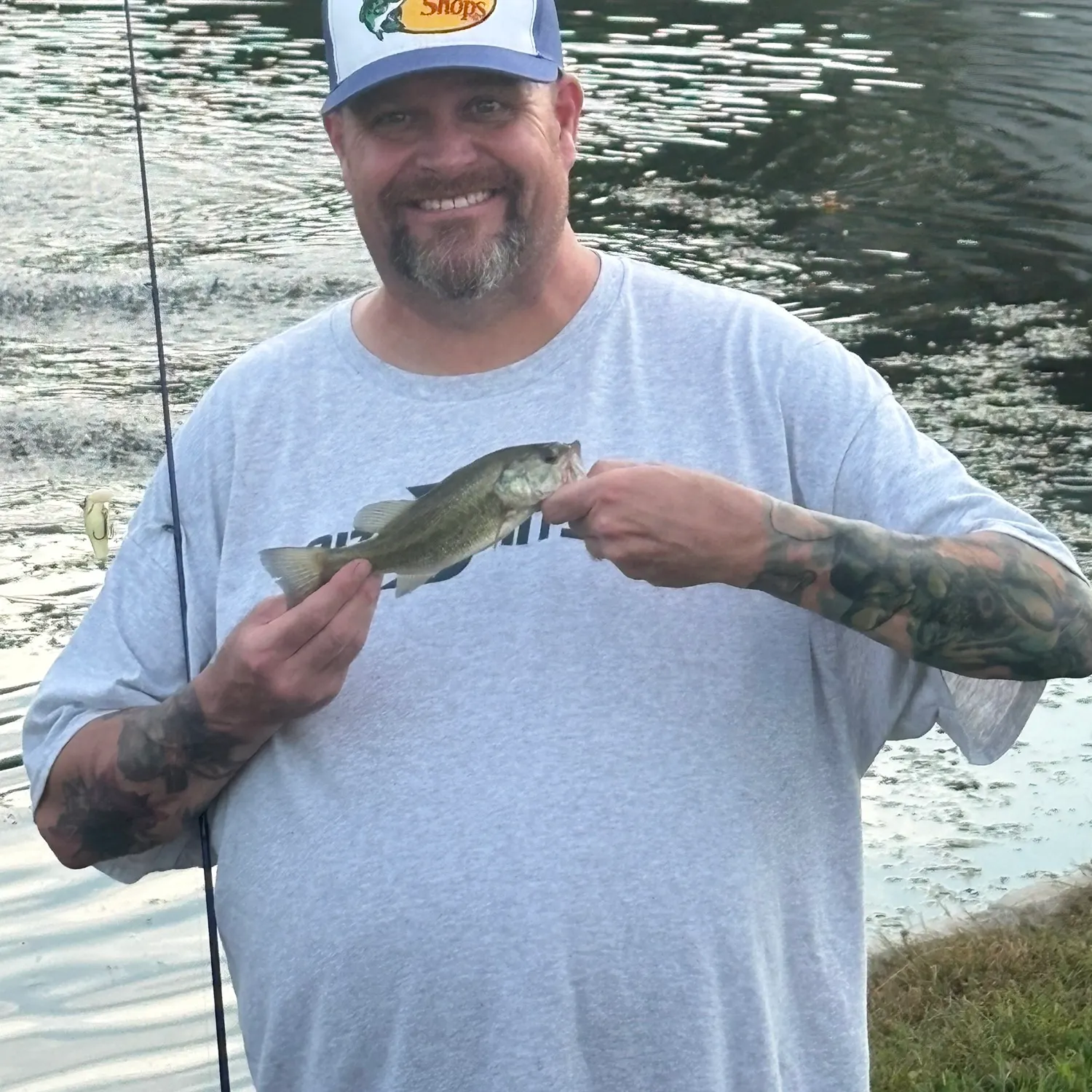 Largemouth bass caught on Fishbrain