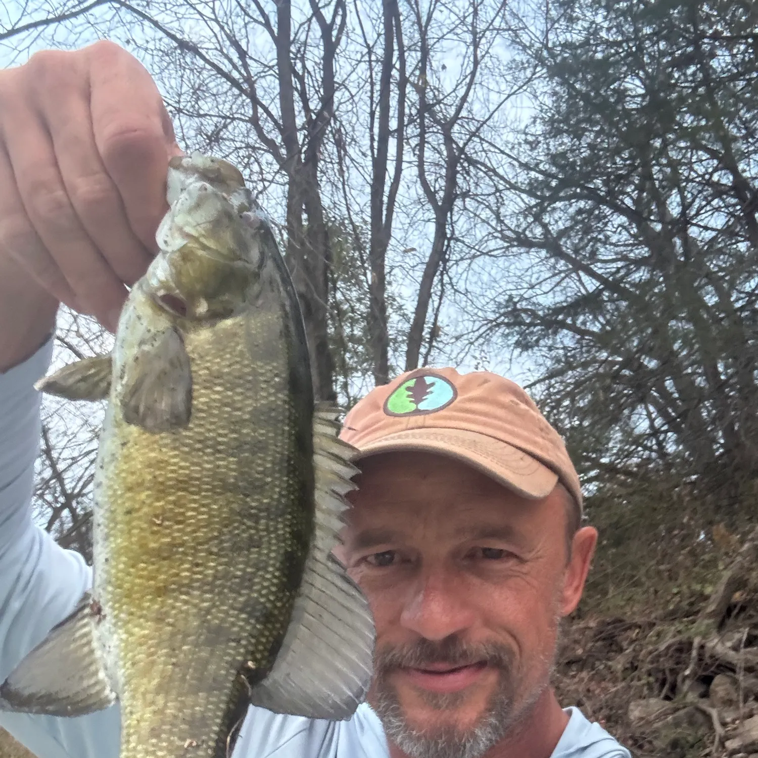 Smallmouth bass caught on Fishbrain