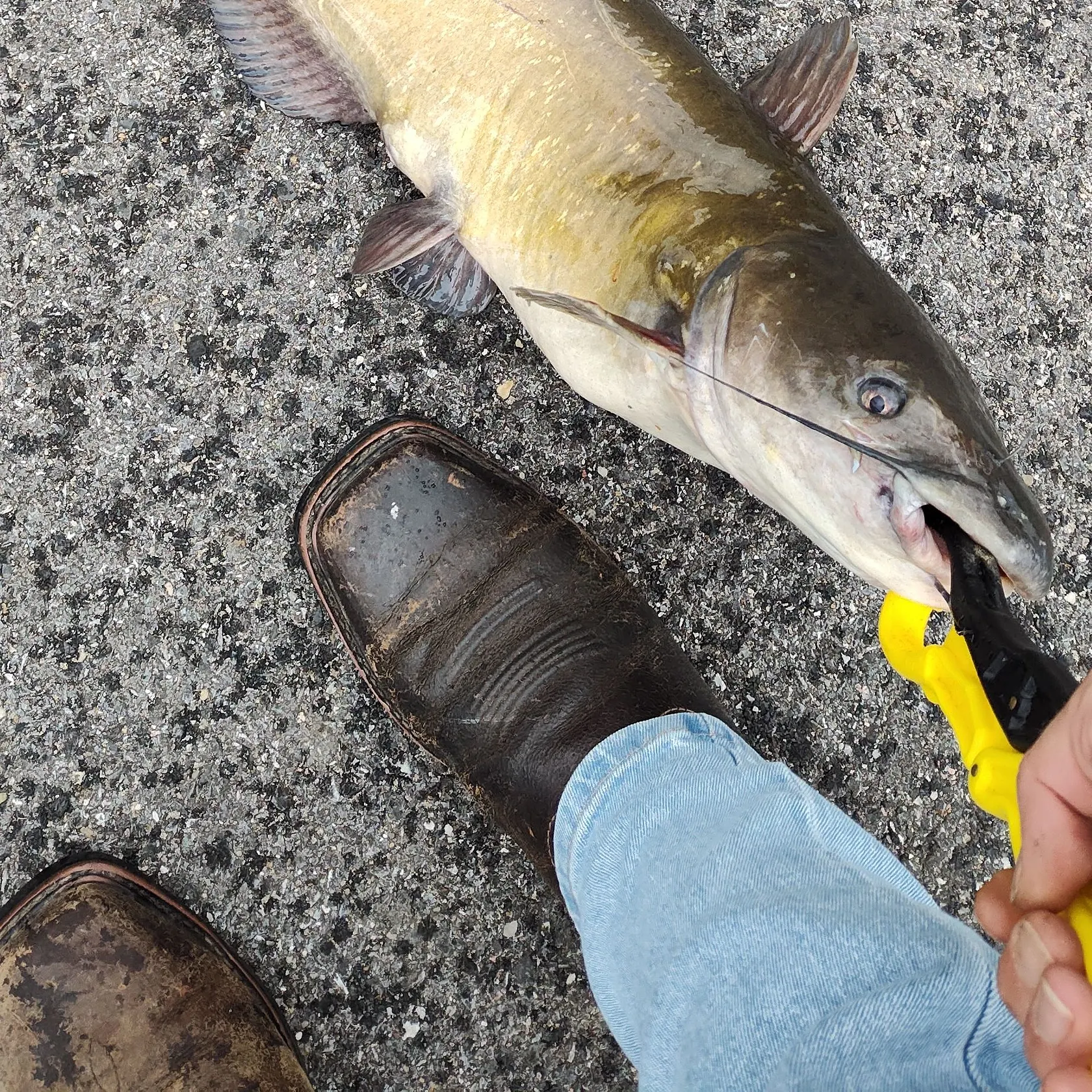 catch