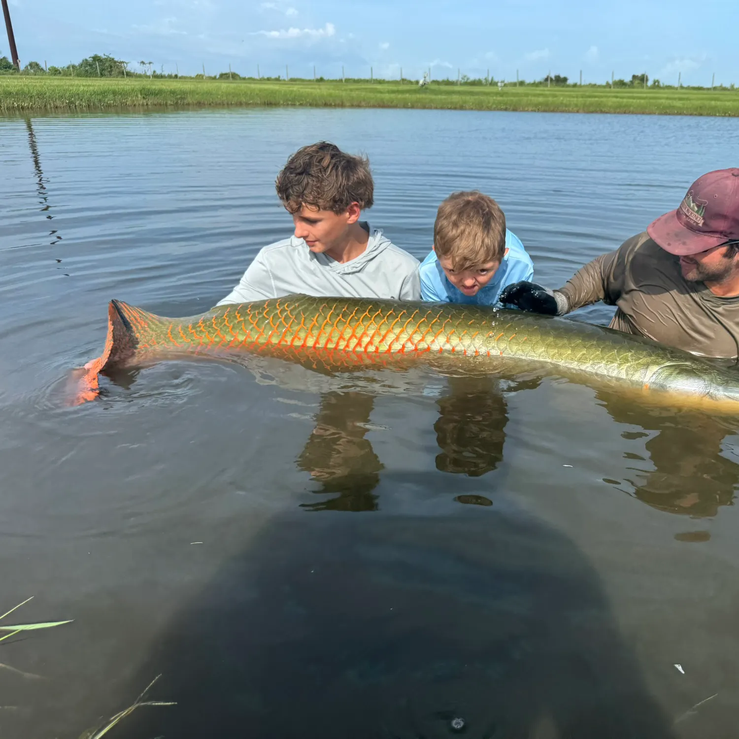 The most recent Arapaima catches on Fishbrain