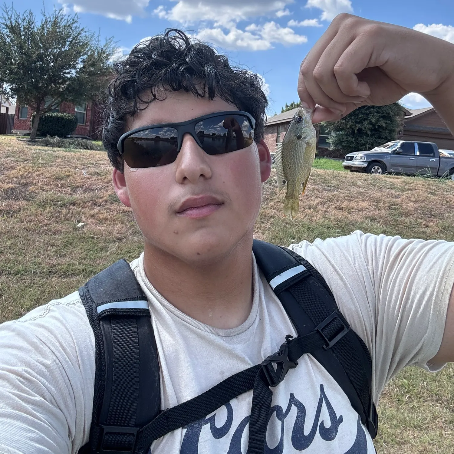 Green sunfish caught on Fishbrain