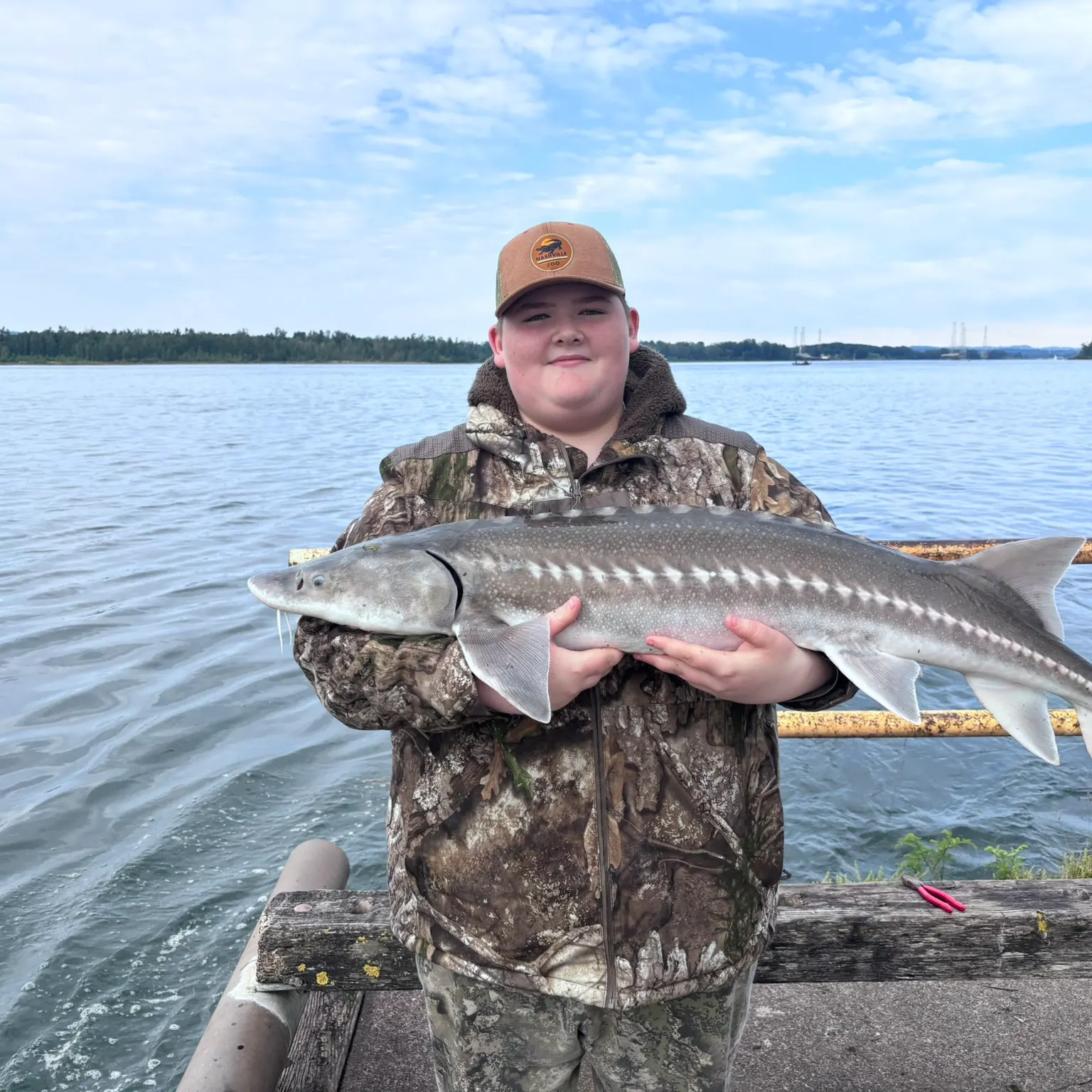 The most recent White sturgeon catches on Fishbrain