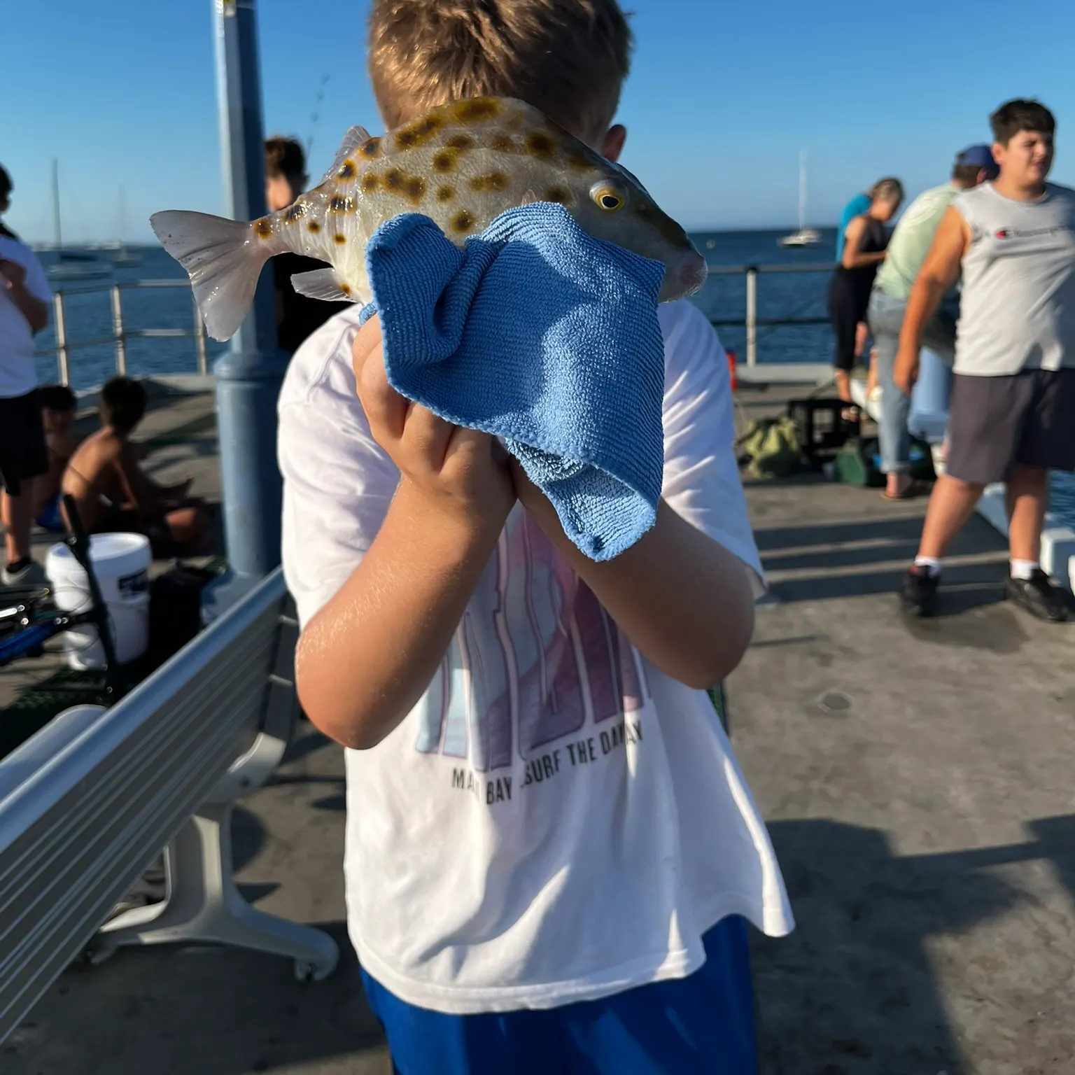 The most recent Western smooth boxfish catches on Fishbrain