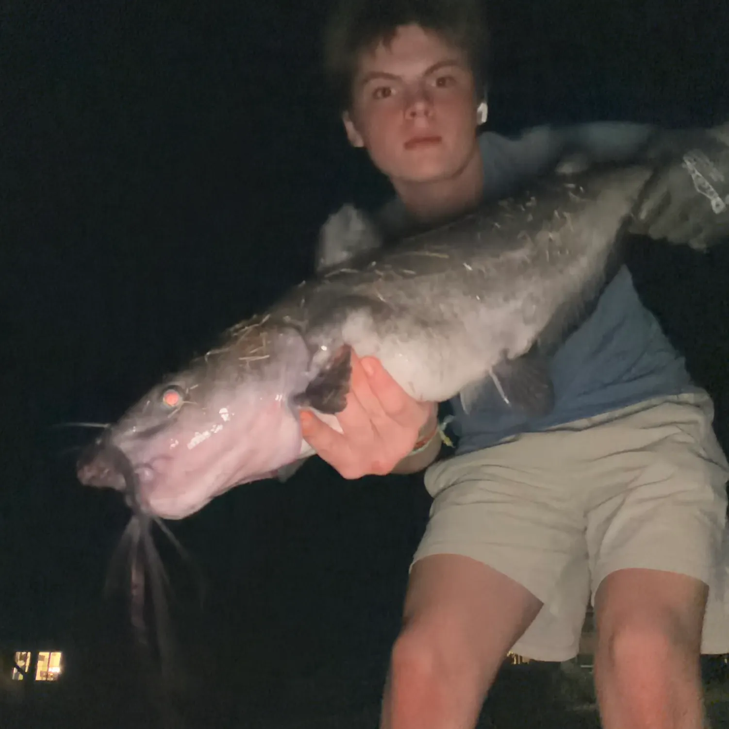 The most recent White bullhead catches on Fishbrain