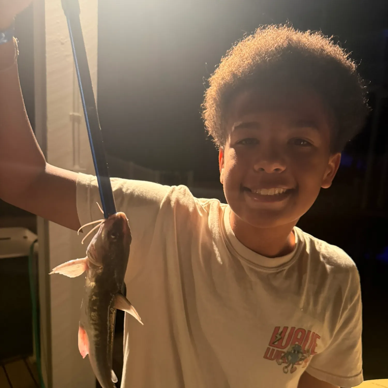 Hardhead sea catfish caught on Fishbrain