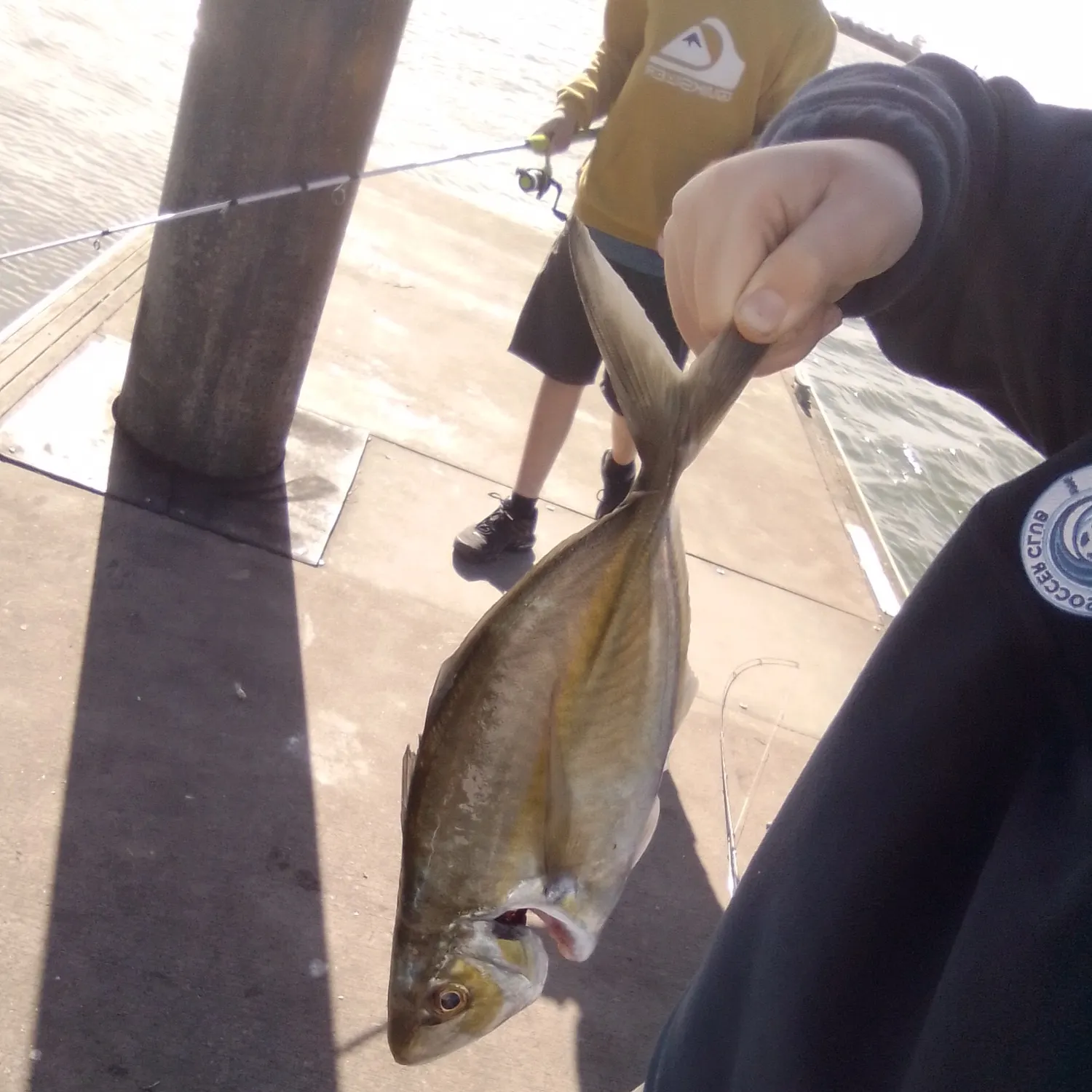 Silver trevally caught on Fishbrain
