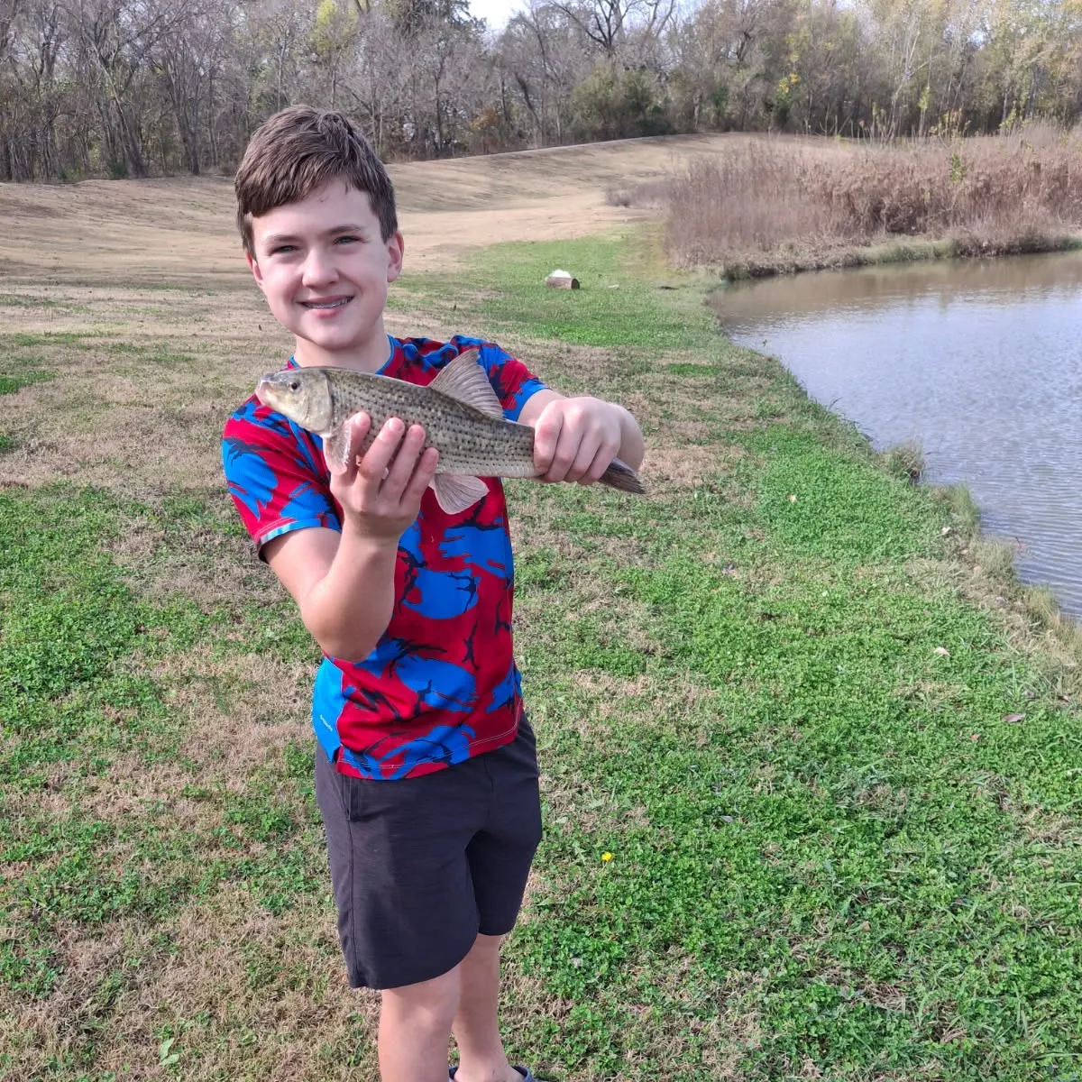 The most recent Bigmouth buffalo catches on Fishbrain