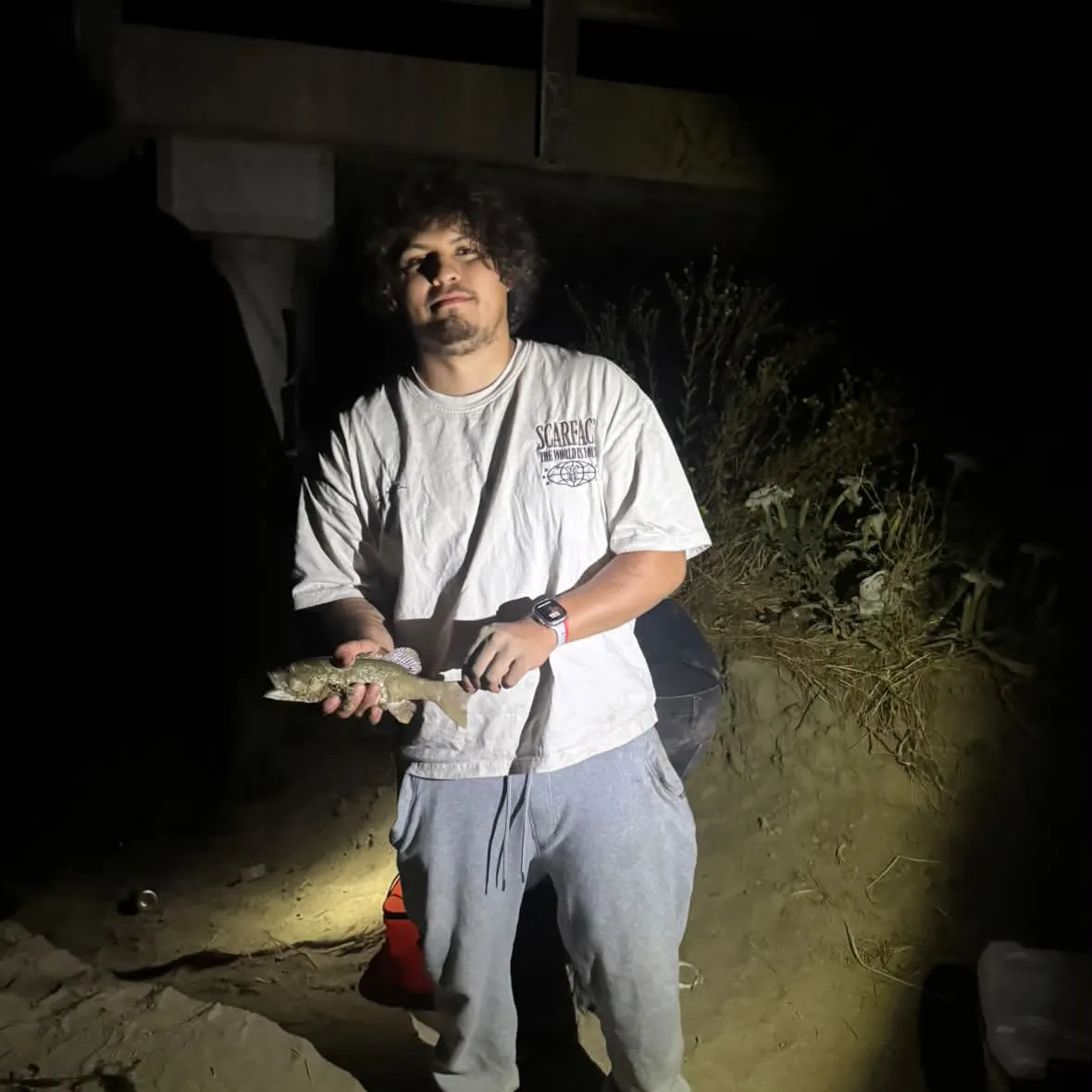 Smallmouth bass caught on Fishbrain